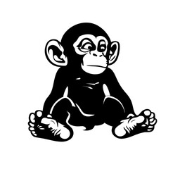 Baby Chimp Sitting