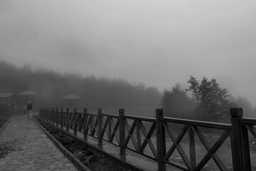 In a foggy day, a person walking on the path in the forest, wooden railing