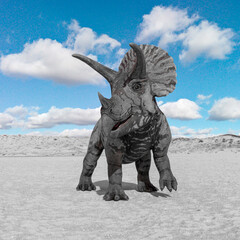Fototapeta premium triceratops front view