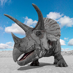 triceratops id profile picture © DM7
