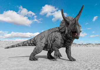 triceratops is walking side view © DM7