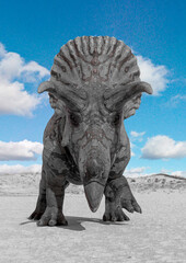triceratops front attack view © DM7