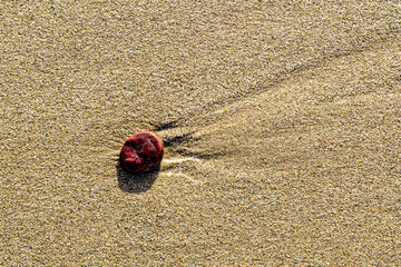 Pebble over the sand with copy space around