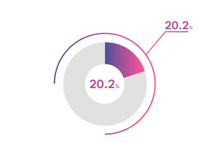 20.2 Percentage circle diagrams Infographics vector, circle diagram business illustration, Designing the 20.2% Segment in the Pie Chart.