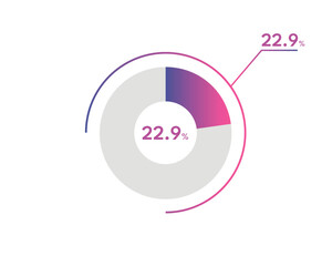 22.9 Percentage circle diagrams Infographics vector, circle diagram business illustration, Designing the 22.9% Segment in the Pie Chart.