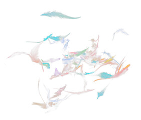 Many color Feather fly fall in Air over black background isolated. Puffy Fluffy soft feathers as purity smooth like dream floating dove in sky. Angle flying from heaven, photo motion studio lighting