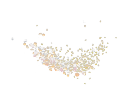 Mix beans fall down explosion, several multi kind bean float explode. Dried mixed white green red soy black peanut beans splash throwing in Air. Black background Isolated