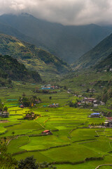 Fototapeta na wymiar Hapao rice terraces, Banaue, north Luzon, Philippines