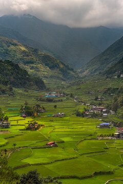 Hapao rice terraces, Banaue, north Luzon, Philippines