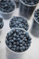 blueberries in a bowl