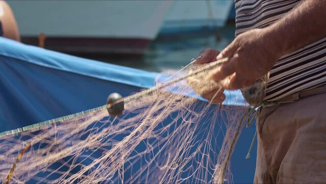 Slow Motion Elderly Fishermans Hand Cleaning Crops From Nets Footage.