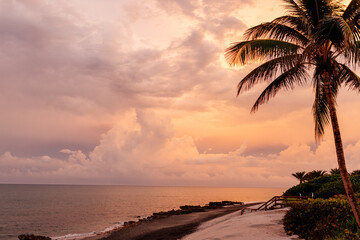 Beautiful sunset on the ocean. Beautiful landscape at sunset, pink and orange sky, beach and palm trees. Background for summer holidays. Spectacular sunset sky in Florida