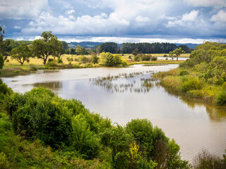 Naklejka na ściany i meble View of a calm river in a rural environment in Australia