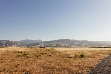 Fototapeta premium Sunny summer landscape in California. Scenic landscape with mountains, yellow grass in the foreground, clear sky on a sunny day.