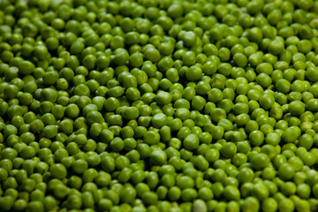 Sweet green peas background. Selective focus.