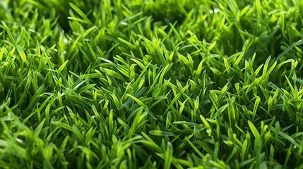 Fototapeta na wymiar Lush green grass. Summer. Generative AI