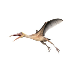 Pteranodon, Pterodactylus dinosaur on transparent background Generative AI