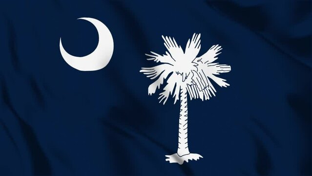 "South Carolina State Flag" Images – Browse 82 Stock Photos, Vectors
