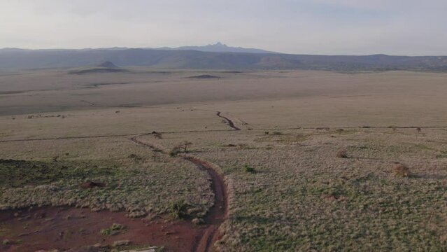 Drone aerial stock footage of Mt. Kenya from Savanna grassland