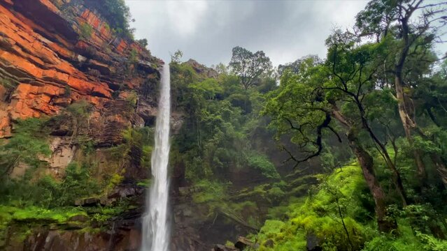 Loan Creek South Africa most scenic waterfalls Forest Falls Sabie Nelsprit Mombela Johannesburg Kruger National Park Graskop Lisbon cinematic spring greenery lush peaceful calm  slow motion pan down