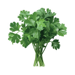 Fresh green herbs, nature healthy seasoning collection