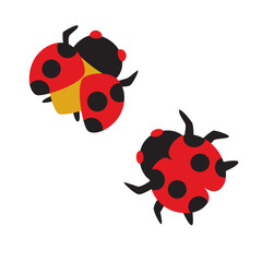ladybug on white background