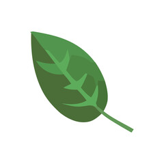 Green leaf symbolize growth and freshness in nature