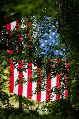 Fototapeta premium American Flag through Oak Tree