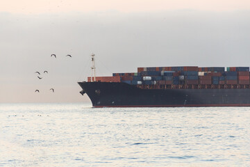 cargo ship sailing on Copacabana beach in Rio de Janeiro.
