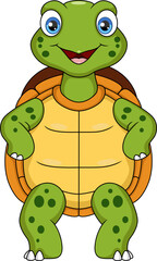 Cute turtle cartoon posing on white background