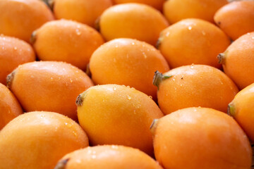 ならんだたくさんの枇杷