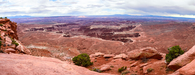 White Rim Panorama