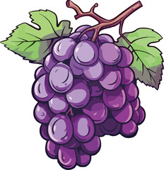 Hand drawn cartoon purple grapes on a pure white background color, hand drawn cartoon illustration
