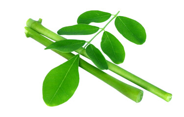 Edible moringa leaves with branch over white background