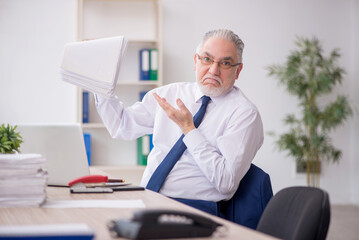 Old male employee working in the office