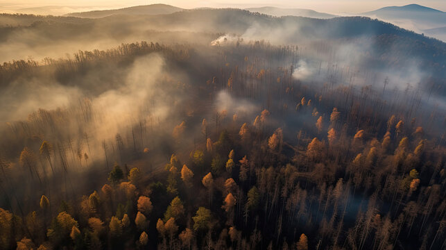 Burning trees from wildfires and smoke cover the landscape, aerial view
