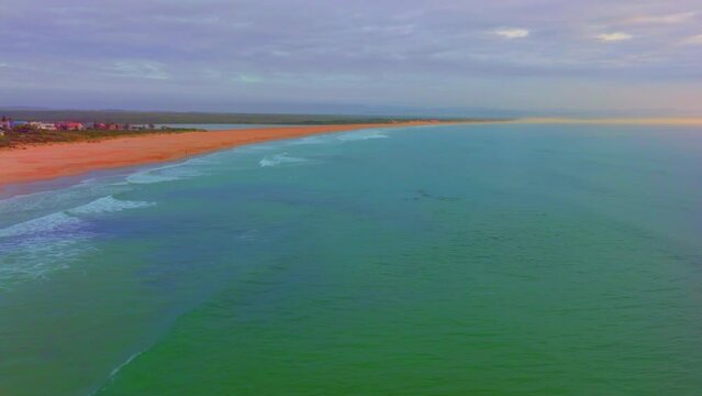 Africa drone dolphins pack swimming ocean in sync sonar echo surf waves coming up to breathe JBAY Jefferys Bay early morning sunrise Indian Ocean deep aqua blue water forward follow movement