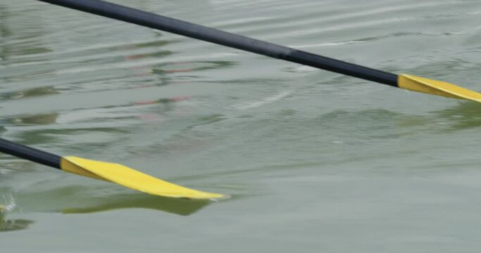 Close-up of the oars of a squad scull rowing boat lying loose in the water during the ride