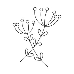 Abstract Simple Black White Flowers. Elements of decoration and design.