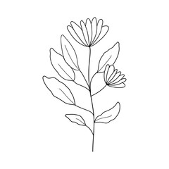 Abstract Simple Black White Flowers. Elements of decoration and design.