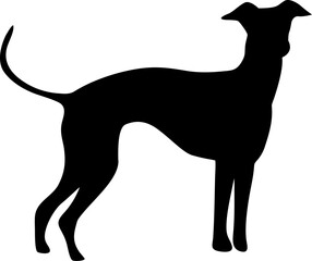 silhouette of a dog