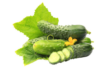 Fresh cucumber isolated 