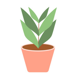 Beautiful Houseplant 