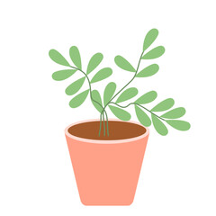 Beautiful Houseplant 