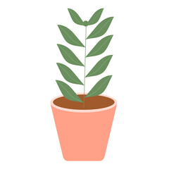 Beautiful Houseplant 