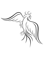 Bird_15_06_23Black graceful Firebird contour isolated over white, hand drawing vector illustration