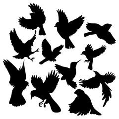silhouette bird atrline and vector illustration