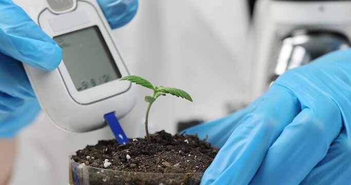 Hands with a device for checking soil acidity, close-up. Lakmus test, biochemistry, slowmotion