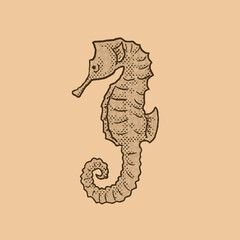 illustration of a sea horse 
