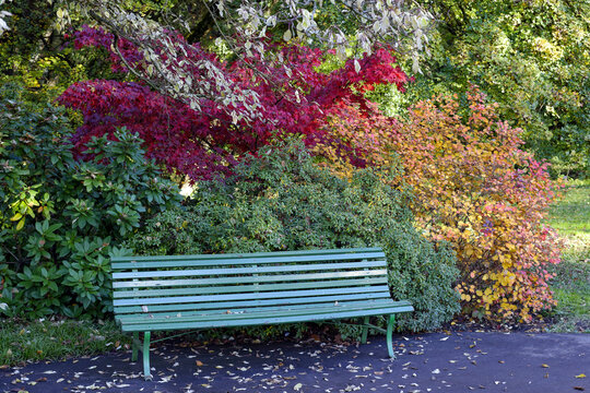 Banc dans un parc en automne